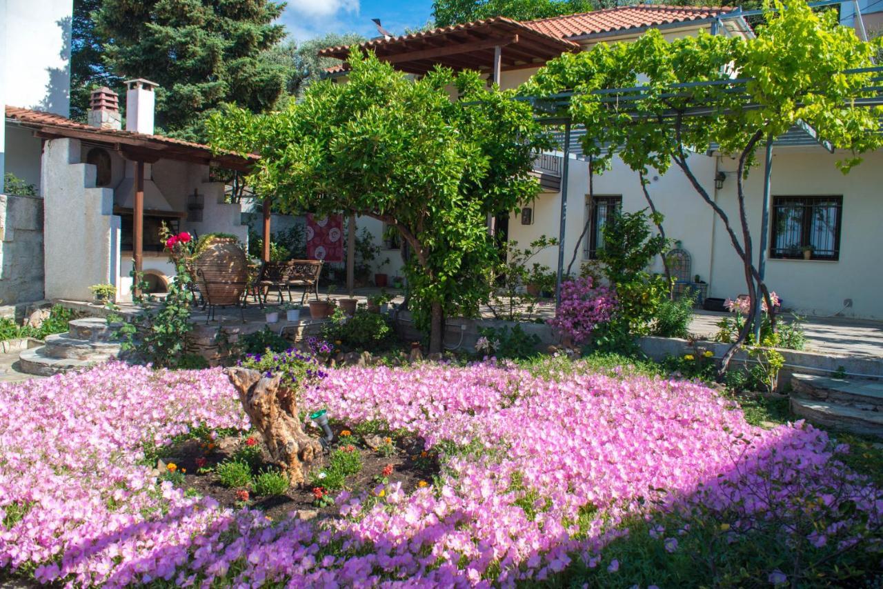 Mikros Paradisos Pelion Áyios Vlásios Exteriér fotografie