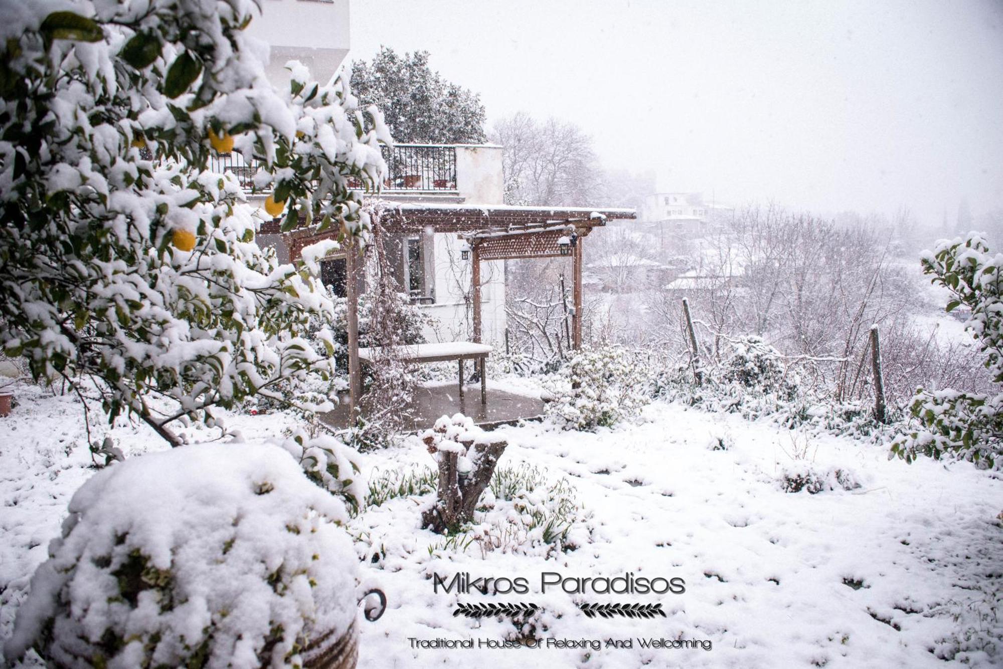 Mikros Paradisos Pelion Áyios Vlásios Exteriér fotografie